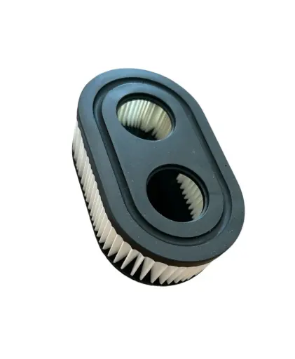 Filter zraka Briggs & Stratton 798452